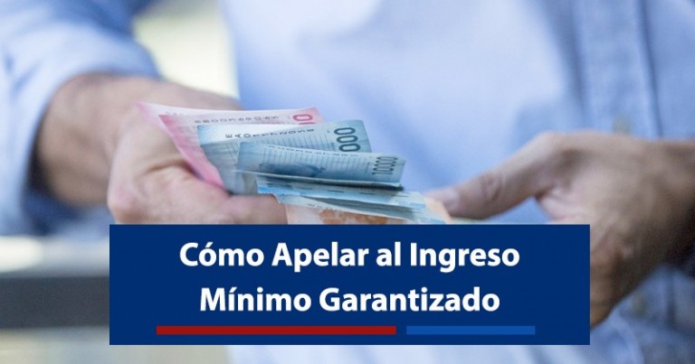 como-apelar-al-subsidio-ds49-2